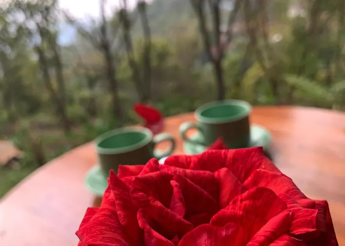 Kubu Waru Bali *