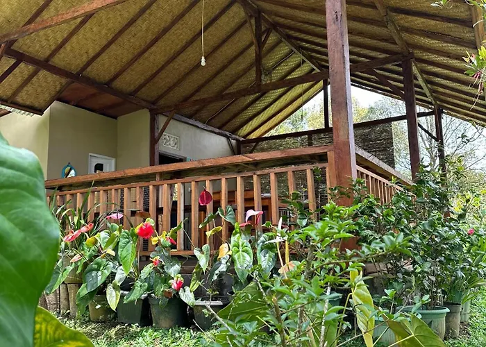 Alloggio in famiglia Kubu Waru Bali Munduk