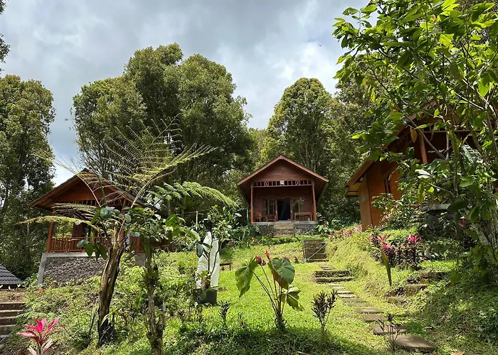 Kubu Waru Bali Alloggio in famiglia Munduk